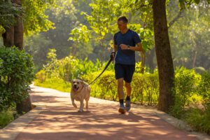 Read more about the article सुबह के आदतें और बीमारियों से बचाव