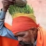 अनोखे बाबा का अनोखा तरीका! पर्यावरण बचाने के लिए सिर पर उगाई फसलें, तस्वीरें देखकर आप भी रह जाएंगे चकित!