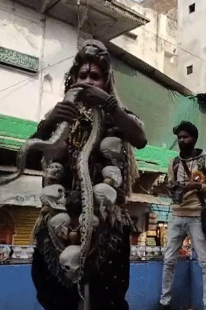 Prayagraj Maha Kumbh: महाकुंभ में श्री पंचायती नया उदासीन अखाड़े की भव्य पेशवाई; गले में अजगर और नरमुंड की माला, शिव रूप में कलाकार की झांकी!