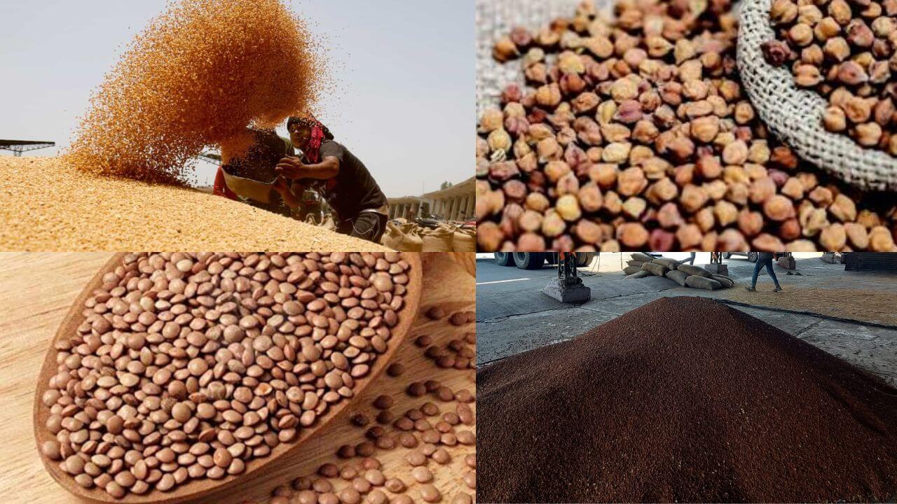 Read more about the article किसानों के लिए बड़ी खुशखबरी, समर्थन मूल्य पर खरीदी के लिए पंजीयन की अंतिम तिथि बढ़ी; अब 21 मार्च तक करा सकते हैं चना, मसूर और सरसों की खरीदी के लिए पंजीयन