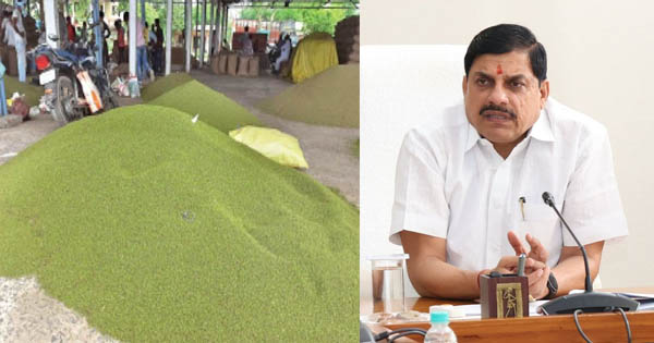 Read more about the article मूंग-उड़द की MSP पर खरीदी को लेकर मुख्यमंत्री मोहन यादव का बड़ा ऐलान: 19 जून से शुरू होगा किसानों का पंजीयन, सीधे खाते में पहुंचेगा पैसा; गोदाम तक परिवहन की भी पुख्ता व्यवस्था!