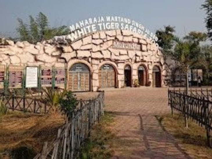 Read more about the article सीमा बदलने के प्रस्ताव से गरमाई विंध्य की राजनीति, मैहर की 6 पंचायतों को रीवा में मिलाने के प्रस्ताव पर नेताओं का संगठित विरोध तेज़; सांसद गणेश सिंह बोले—‘किसी कीमत पर गांव मैहर से बाहर नहीं जाएंगे’!