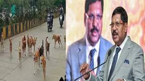 Read more about the article दिल्ली-NCR से आवारा कुत्ते हटाने के आदेश पर सुप्रीम कोर्ट फिर कर सकता है पुनर्विचार, CJI बोले – “मैं देखूंगा”; 11 अगस्त को कोर्ट ने कहा था – कुत्तों को पकड़ो, नसबंदी करो, शेल्टर भेजो!