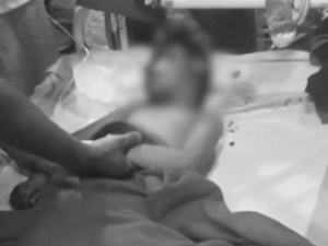 Read more about the article आगर मालवा में 7 साल के बच्चे पर जानलेवा हमला, आरोपी 17 साल का किशोर गिरफ्तार: आरोपी ने बच्चे के साथ अप्राकृतिक कृत्य करने की कोशिश की, बच्चा झाड़ियों में अधनंगा और खून से लथपथ मिला!