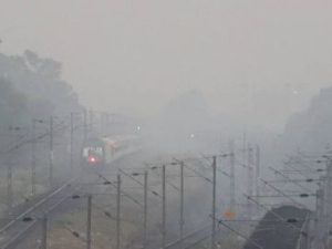 Read more about the article मध्यप्रदेश में नवंबर की रिकॉर्ड ठंड: इंदौर में 25 साल का सबसे ठंडा नवंबर, भोपाल में भी टूटा दशक का रिकॉर्ड; उज्जैन, ग्वालियर, इंदौर में पारा 10 डिग्री से नीचे