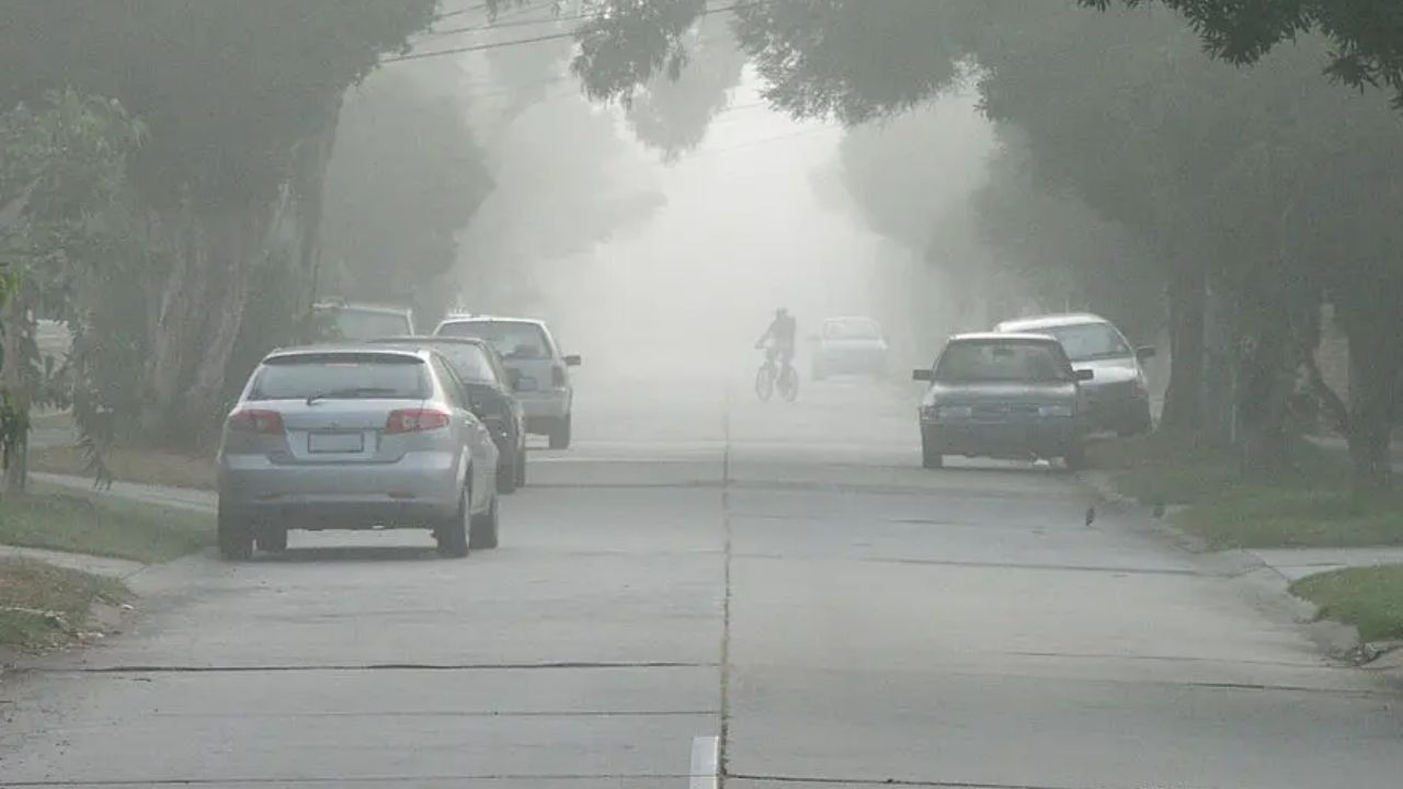 MP Weather Update: एमपी में अगले 4 दिन तेज सर्दी का दौर, कटनी सबसे ठंडा शहर, 8 जिलों में कोहरे का यलो अलर्ट